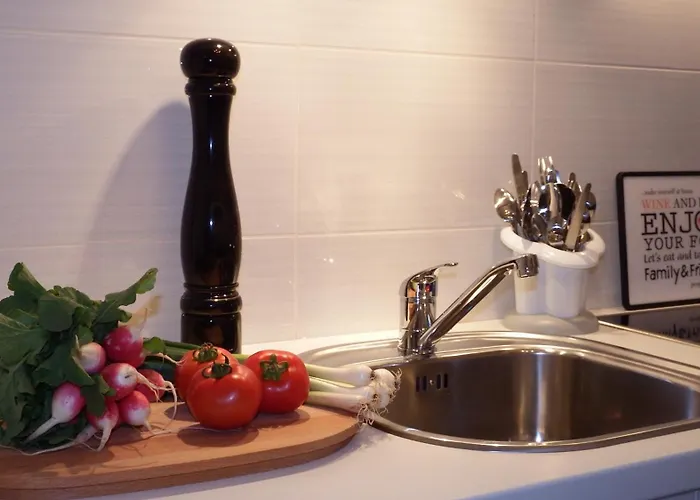 公寓 帕帕里克宫殿公寓